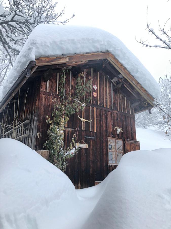 Le Pika Bed and Breakfast Hauteluce Buitenkant foto